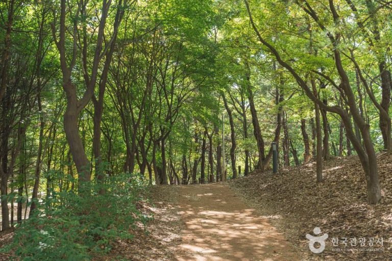 [대전] 남선공원