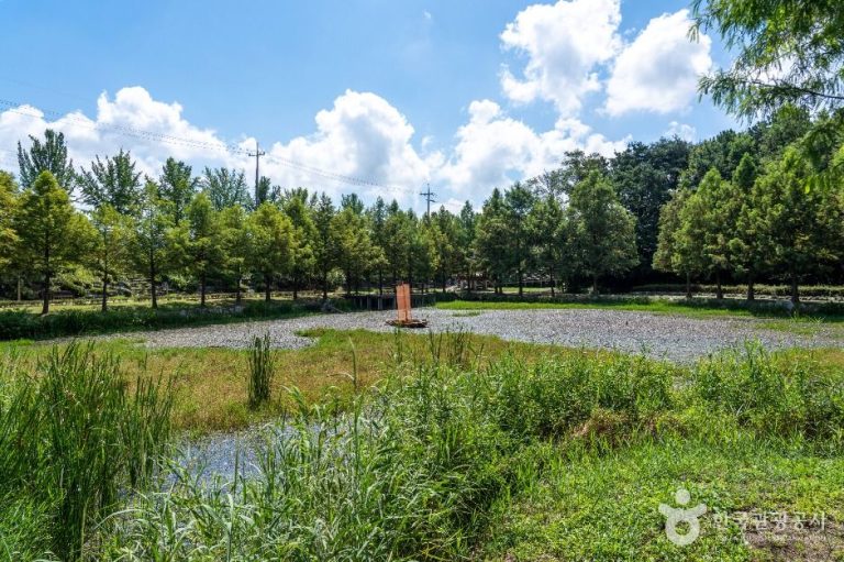 [대전] 추동인공생태습지