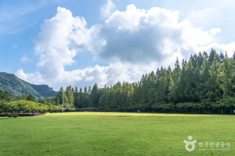 [대전] 금강로하스대청공원