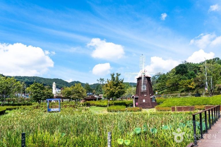 [대전] 대청호자연수변공원