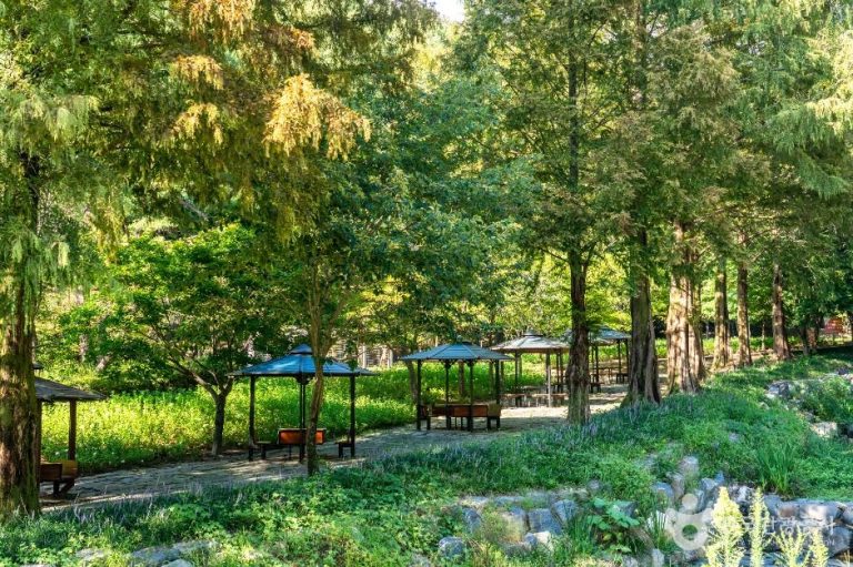 [대전] 사정공원