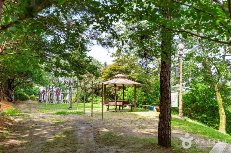 [대전] 테미공원