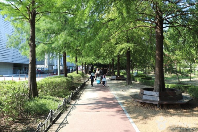 [대전] 둔산대공원