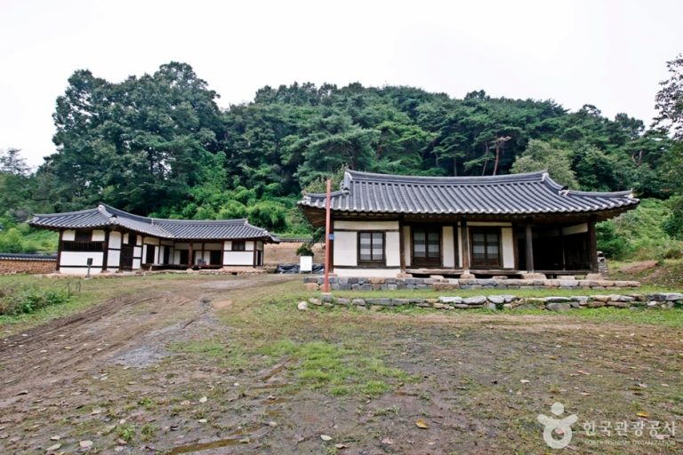 [대전] 안동권씨유회당종가일원