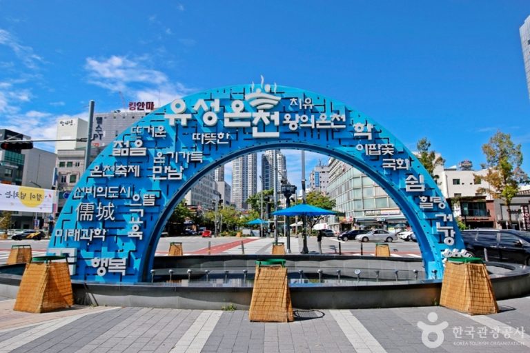 [대전] 유성 관광특구