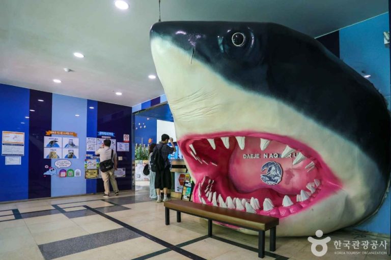 [대전] 대전아쿠아리움