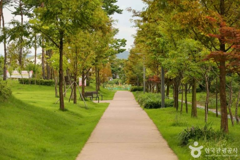 [대전] 아름드리소공원