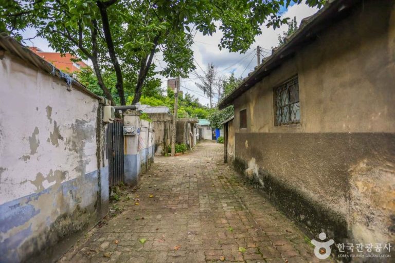 [대전] 철도관사촌(솔랑시울길)