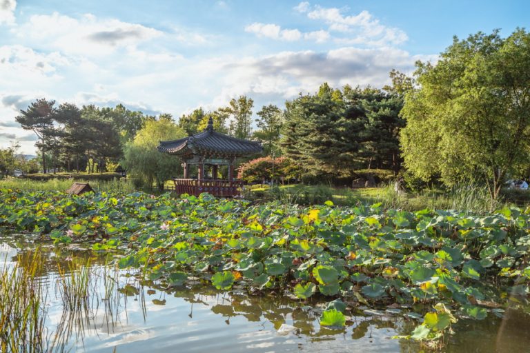 [대전] 유림공원
