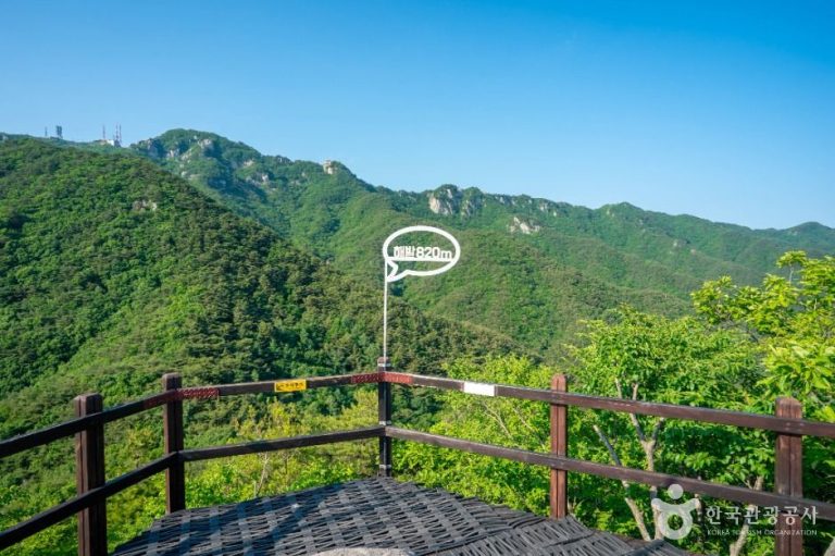 [대구] 팔공산국립공원(동화사지구)