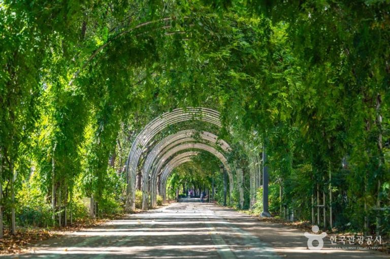 [대구] 옹기종기행복마을