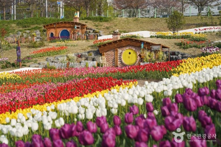 [대구] 대구 세천늪테마정원