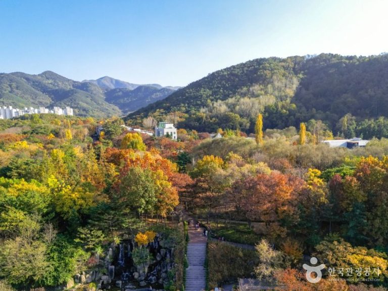 [대구] 대구두류공원