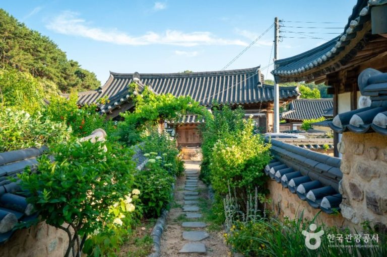 [대구] 묘골마을