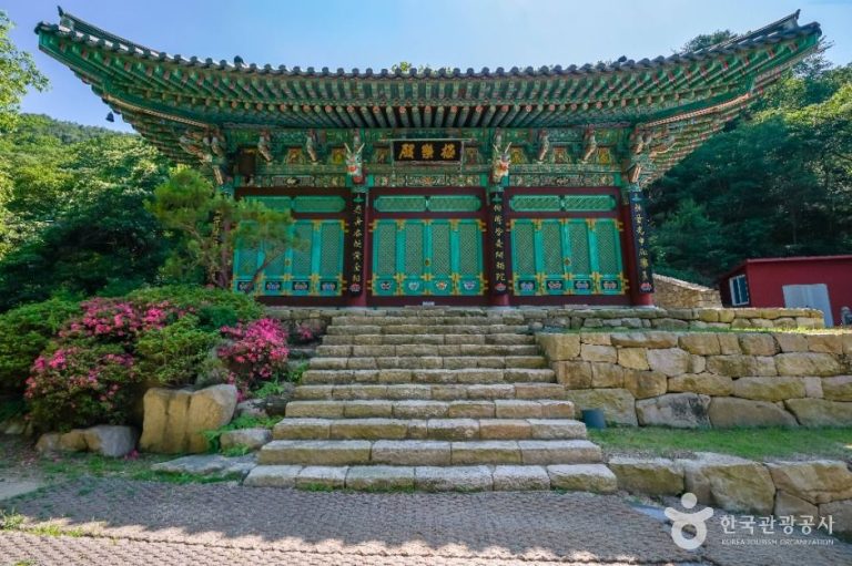 [대구] 용문사(대구)