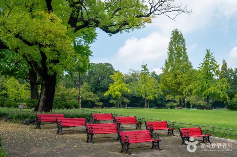 [대구] 달성공원