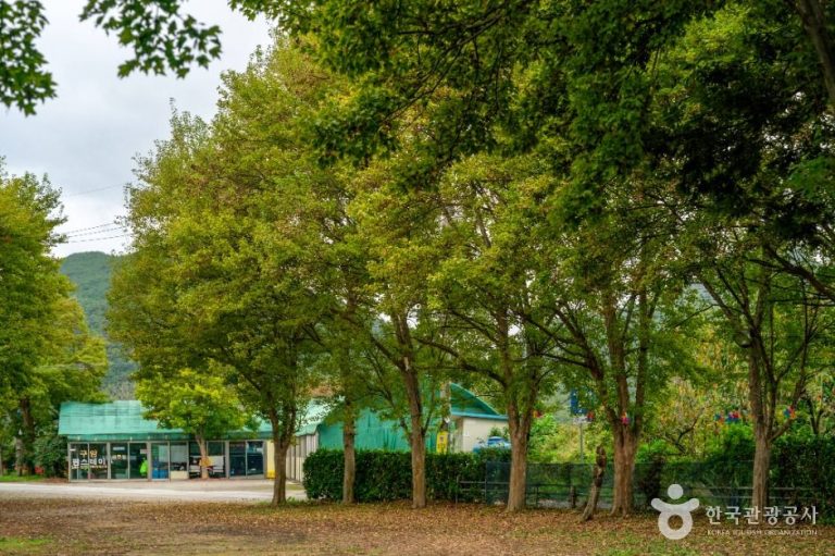 [대구] 구암팜스테이마을