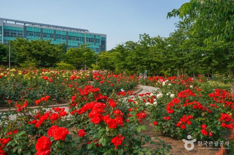 [대구] 신서 중앙공원
