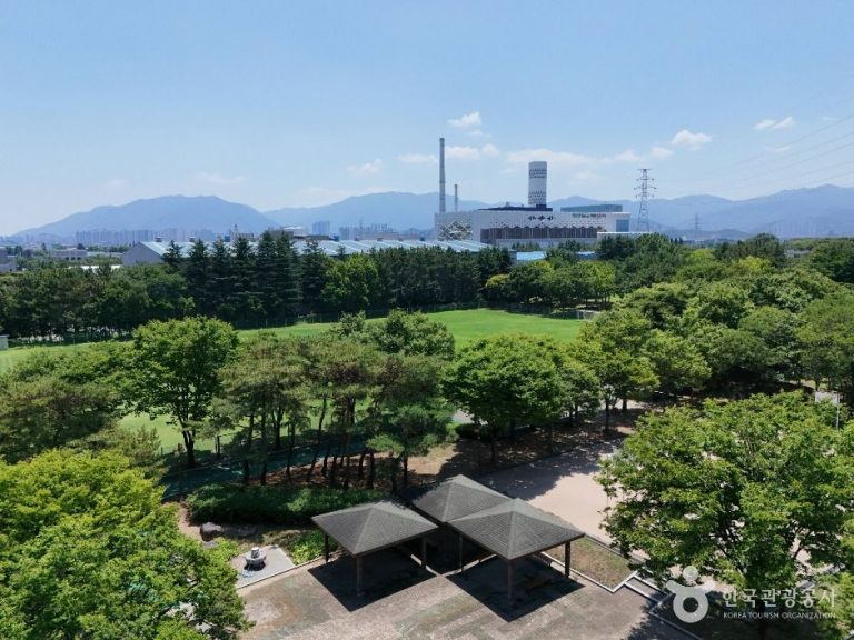 [대구] 호림강나루공원