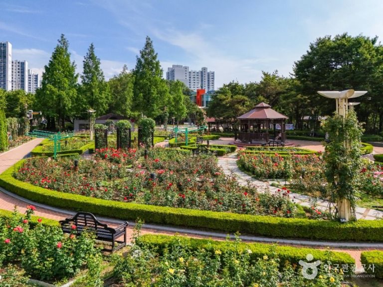 [대구] 이곡장미공원