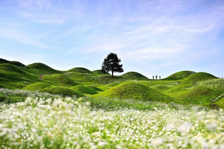 [대구] 대구 불로동 고분군