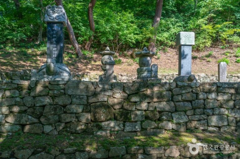 [대구] 회진당원의대사지비