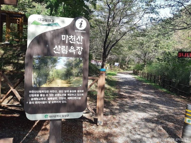 [대구] 마천산산림욕장