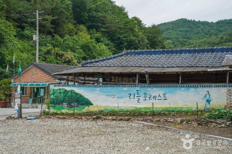 [대구] 혜원의 집