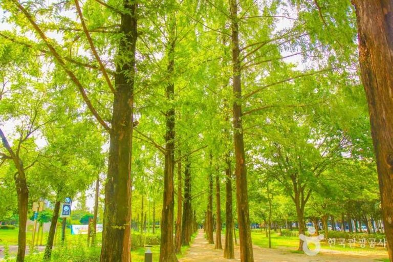 [대구] 호산공원