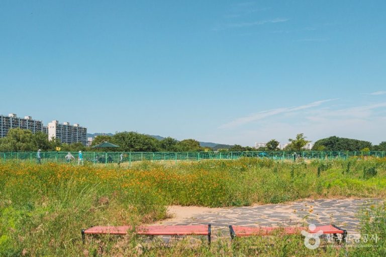 [대구] 팔현생태공원