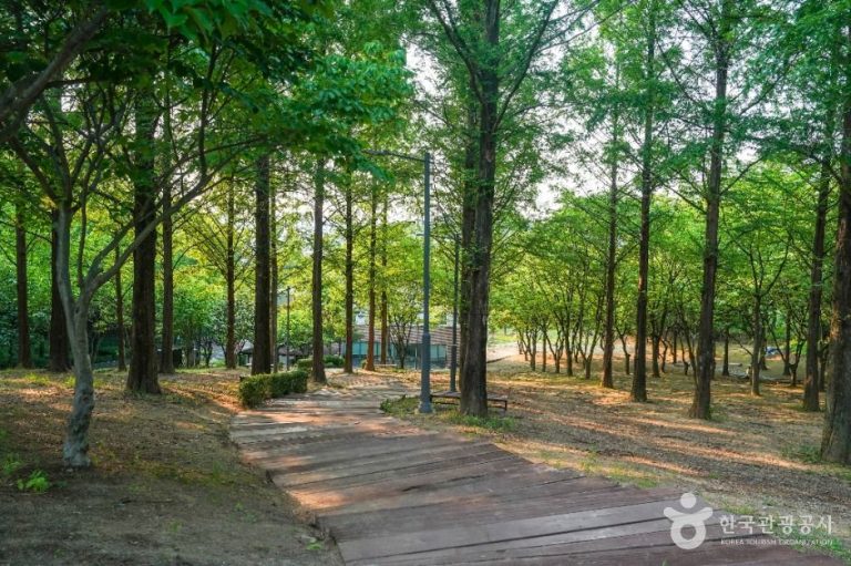 [대구] 옻골동산