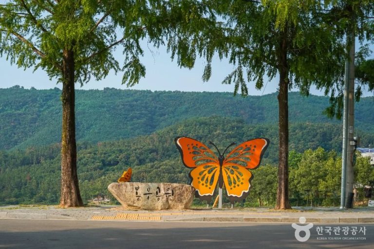 [대구] 봉무공원