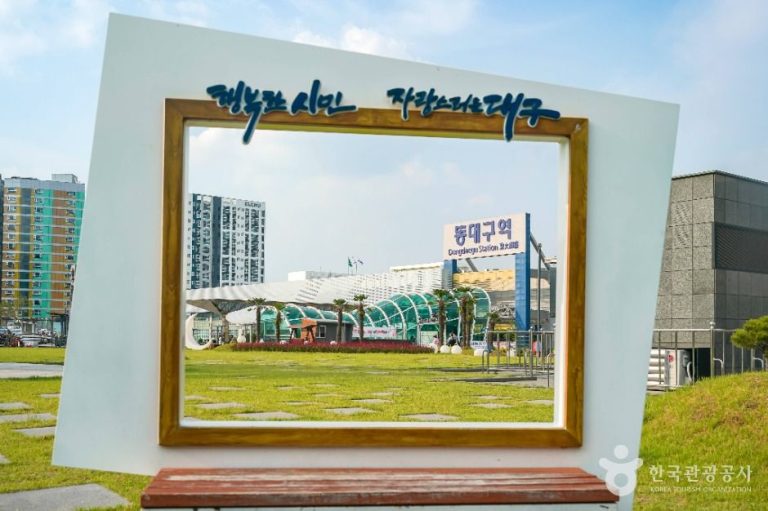 [대구] 동대구역광장
