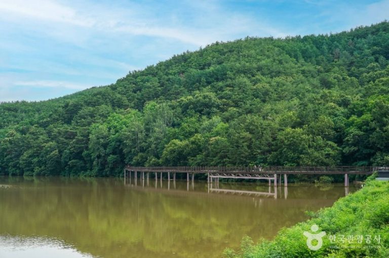 [대구] 창평지 친환경 생태공원