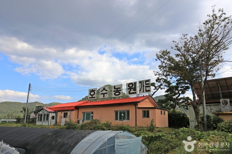 [대구] 호수농원