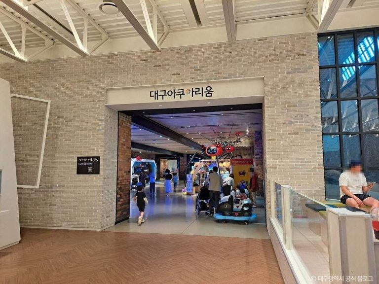 [대구] 대구 아쿠아리움