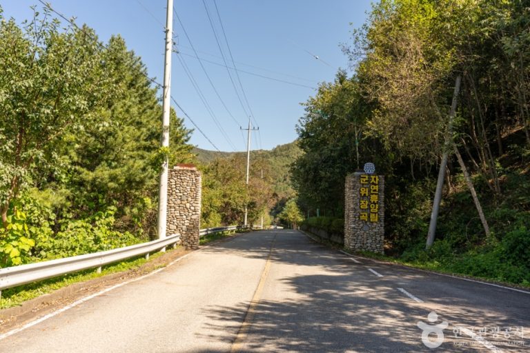 [대구] 군위 장곡자연휴양림