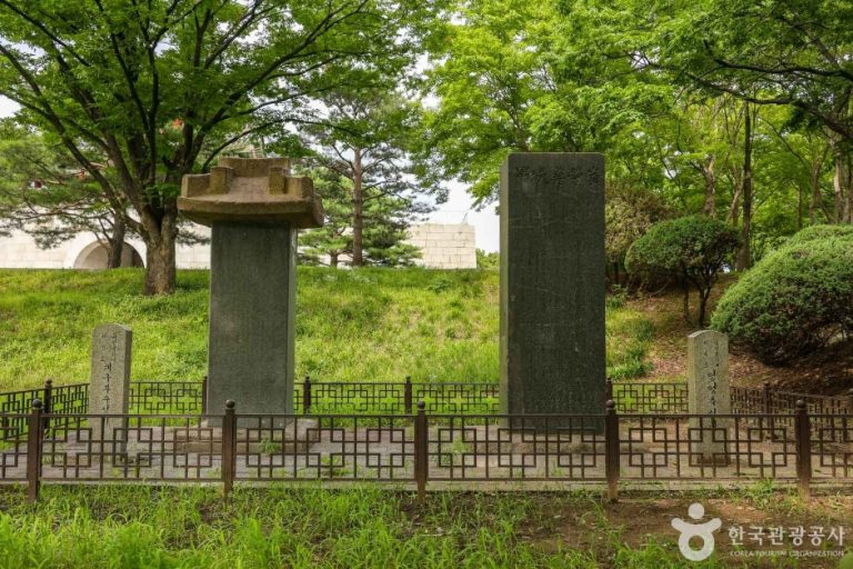 [대구] 대구부수성비