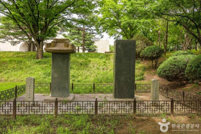 [대구] 영영축성비