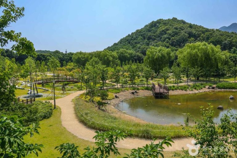 [대구] 대구 대표 도시숲