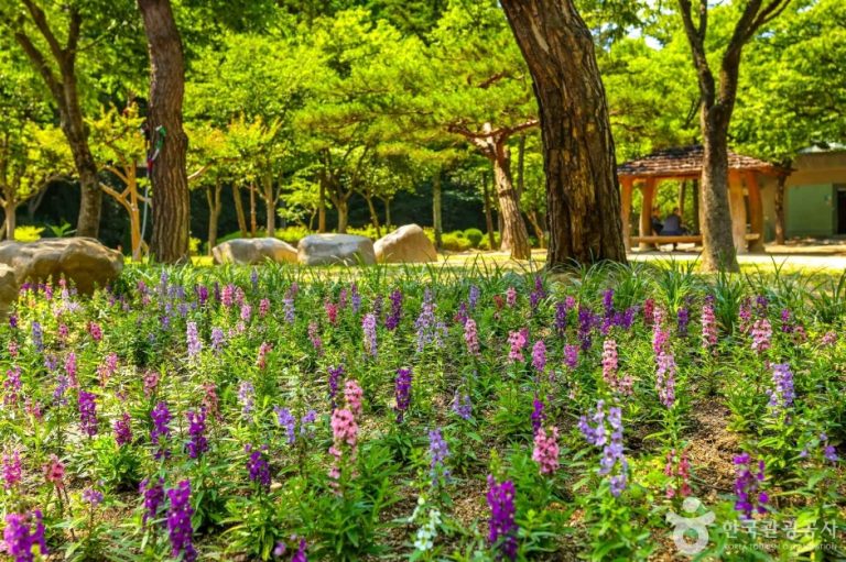 [대구] 대구앞산공원