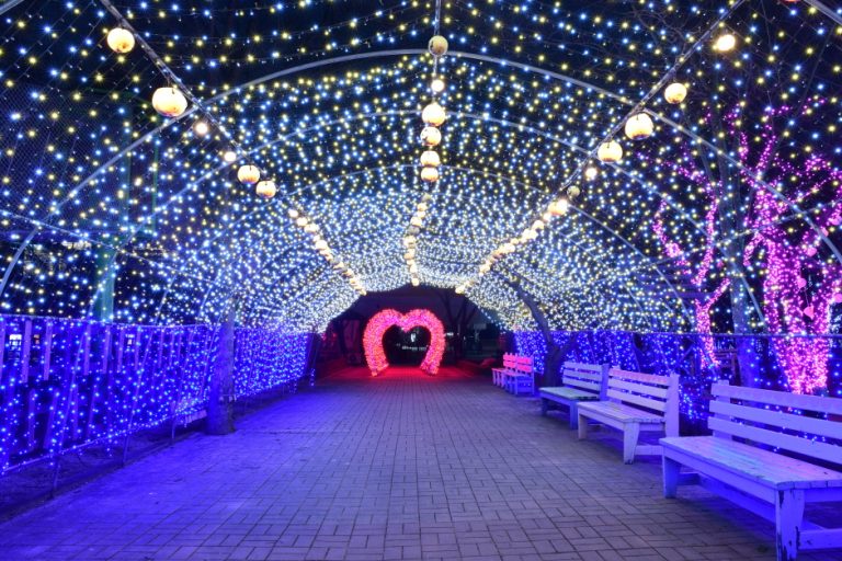 [대구] 아르떼수성랜드