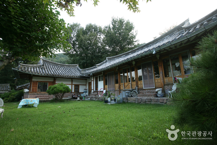 [대구] 능성세가