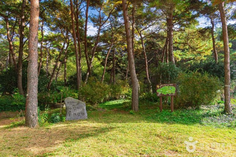 [광주] 제봉산 마법의 숲 체험원