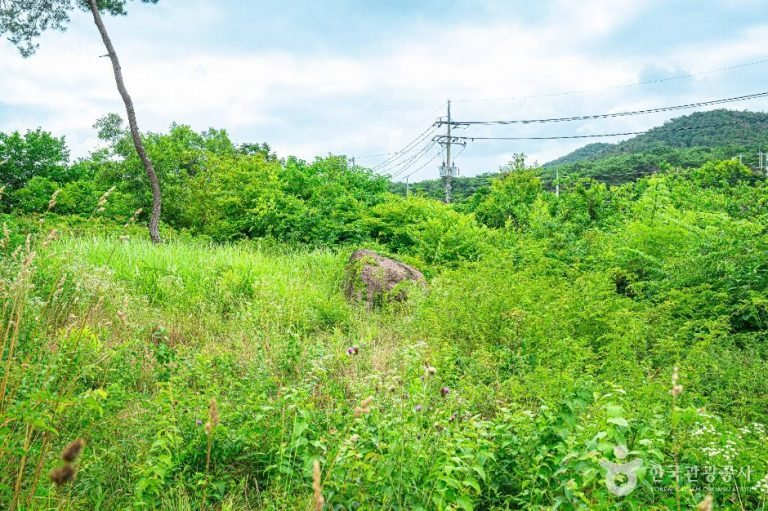 [광주] 삼거동 고인돌