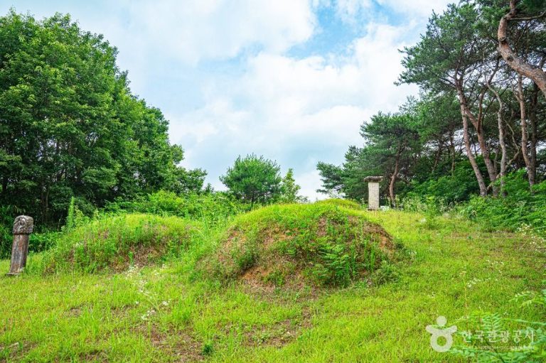 [광주] 양송천묘역