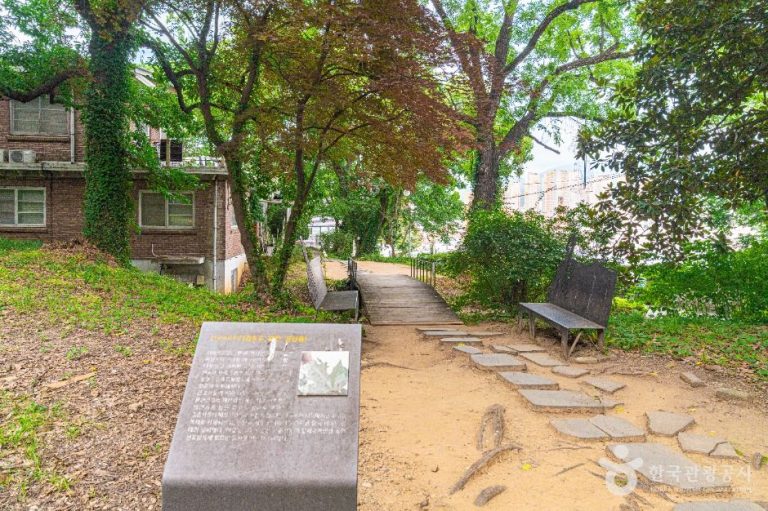 [광주] 양림동 호랑가시나무길