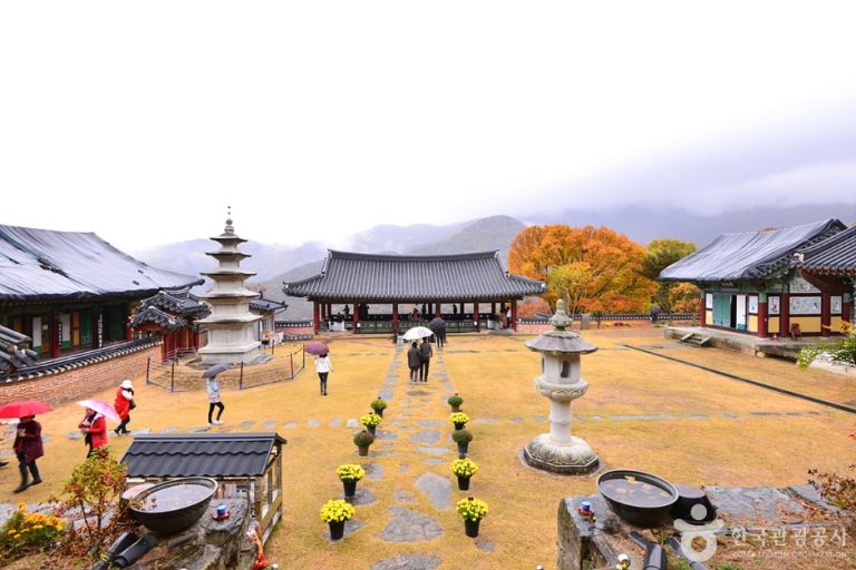 [광주] 원효사(광주)