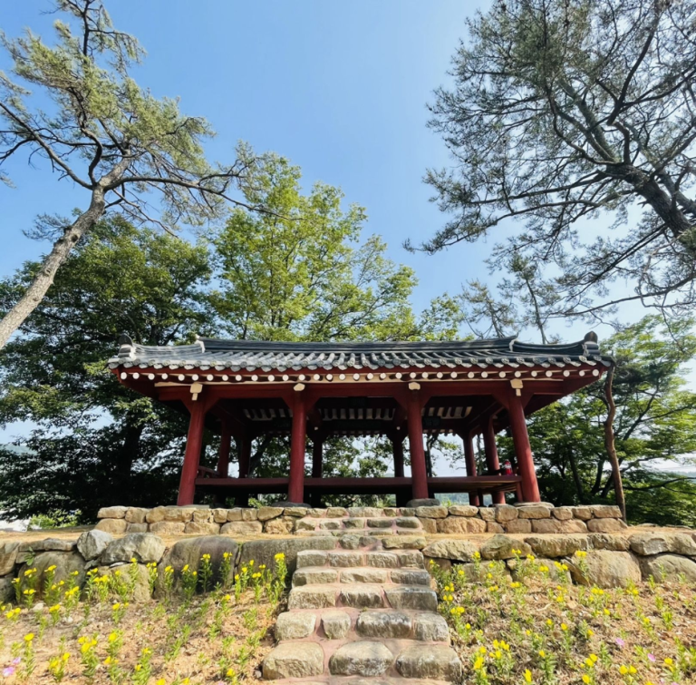 [광주] 양과동정