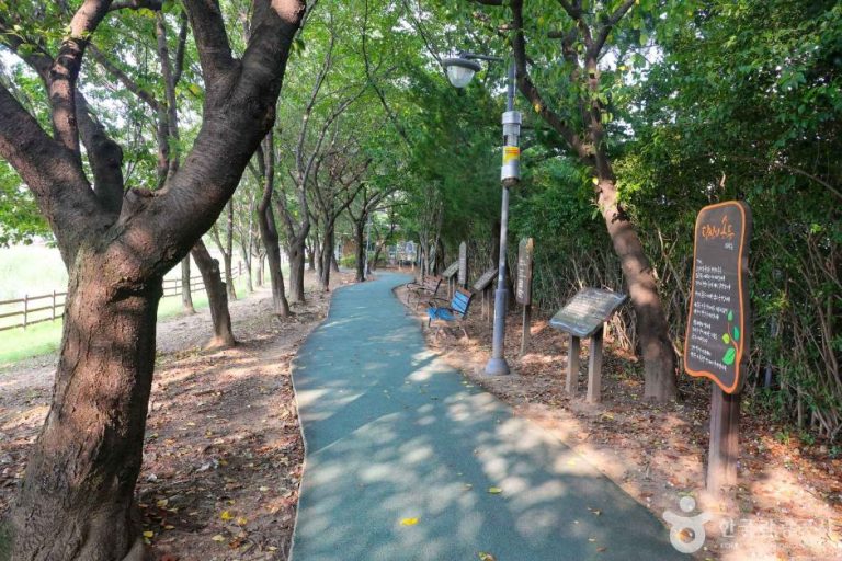 [광주] 운천저수지